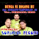 Sampul Lagu batak - Bunga Ni Holong Hu