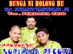Sampul Lagu batak - Bunga Ni Holong Hu
