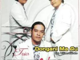 Sampul lagu batak - Dongani ma au