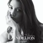 Sampul Album Barat - Dandelion