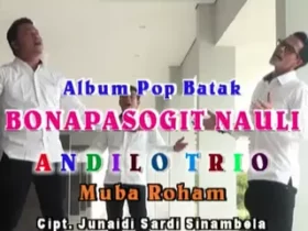 Sampul Single Lagu Batak - Muba Roham
