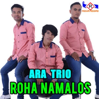 Sampul Album lagu batak - Roha Namalos