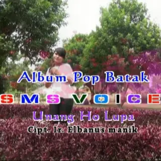 Sampul single lagu batak - Unang Ho Lupa