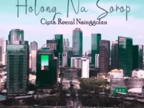Sampul single lagu batak - Holong Na Sorop